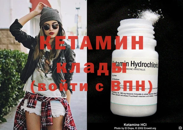 стаф Пересвет