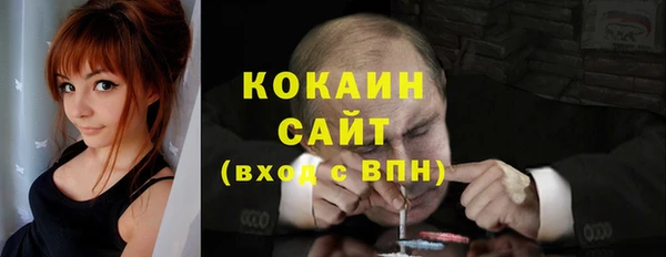 дмт Пестово