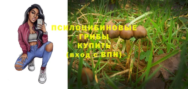 таблы Алзамай