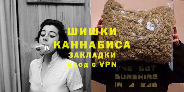 дмт Пестово