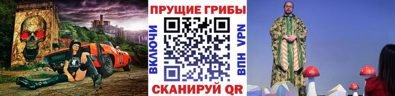 Галлюциногенные грибы Psilocybine cubensis  сайты даркнета официальный сайт  Шатура 